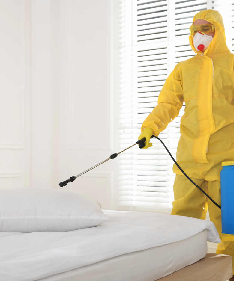 Professional Pest Control Team in Lower Hermitage